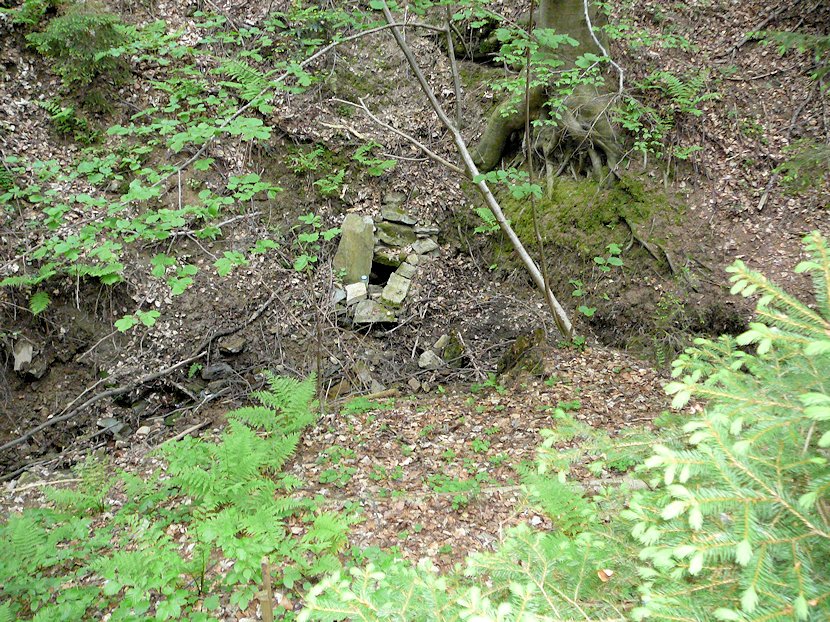 studánka Schönová hospoda (6244)