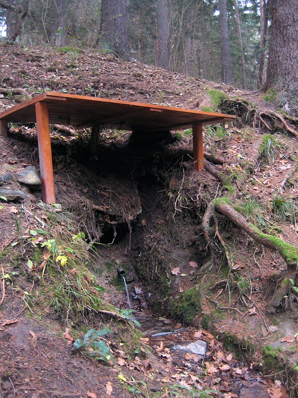 studánka U smrku (6248)