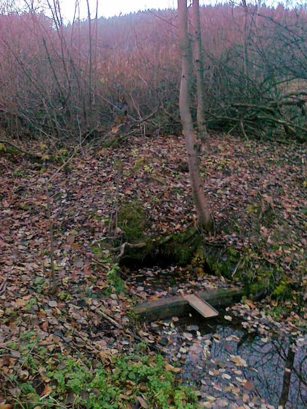 studánka U rybníčka (6251)