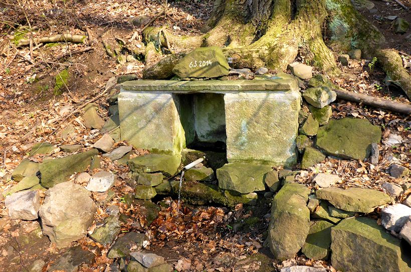 studánka U Pustého zámku (6258)