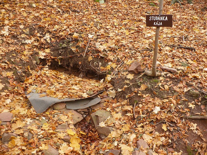 studánka Kája (6259)