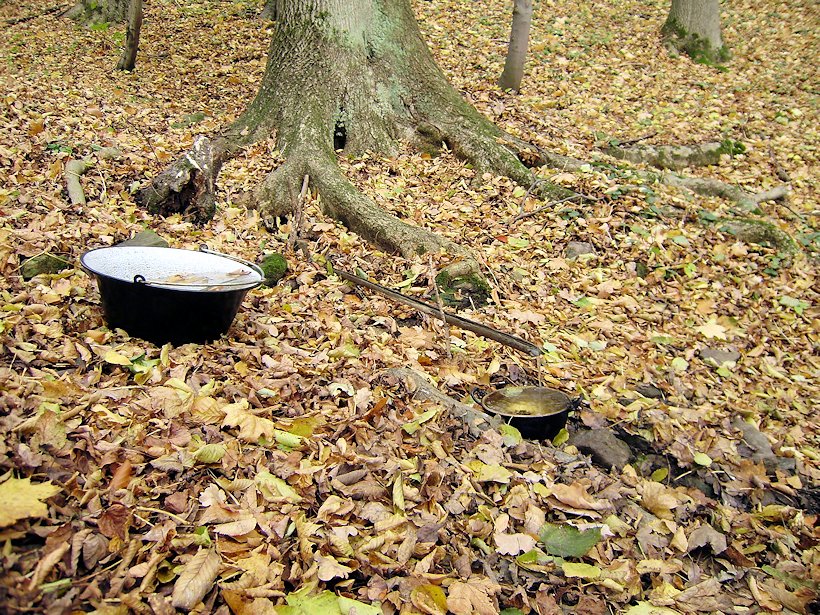 studánka Nad týpkem (6260)