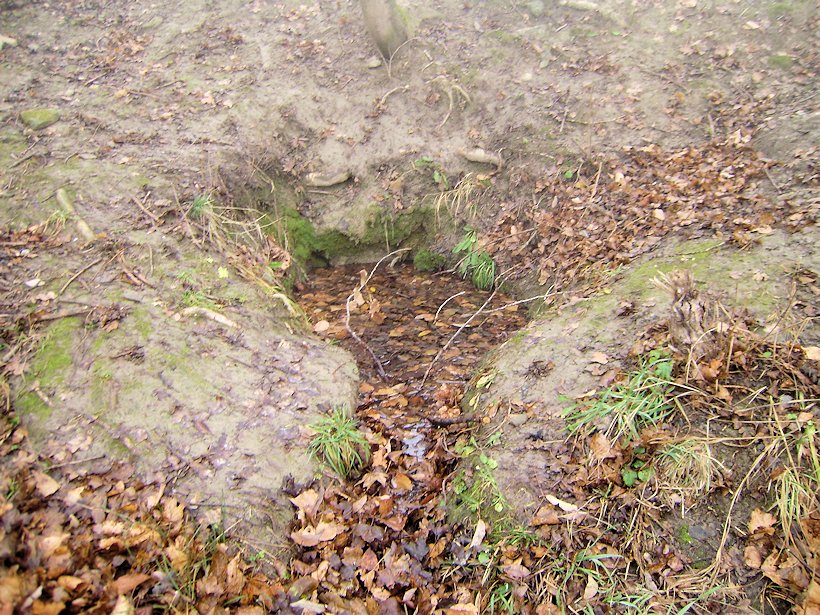 studánka bez jména (6265)