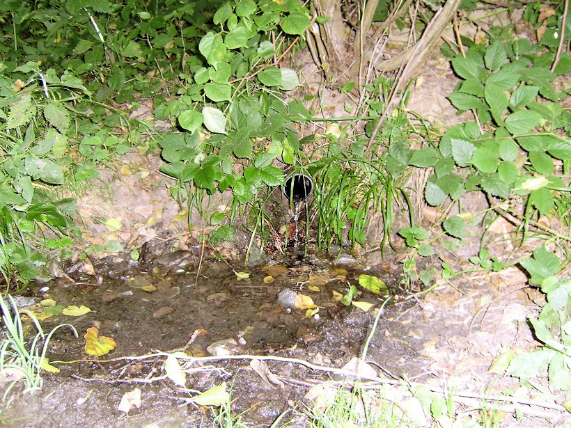 studánka bez jména (6268)