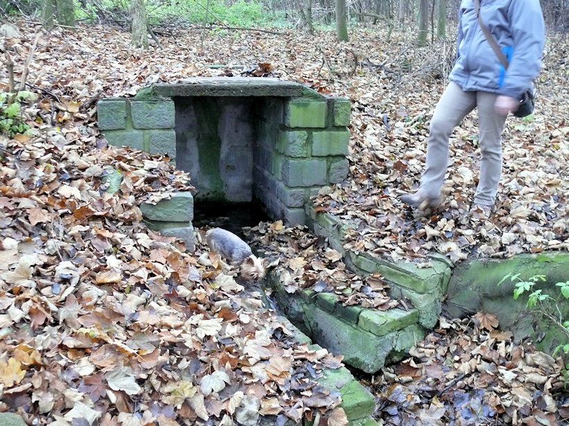 Studánka na Primále (6275)