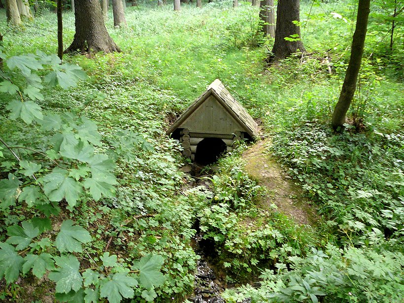 studánka V Rychnovském lese (6281)