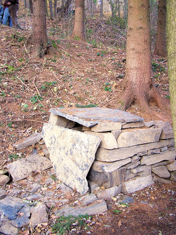 Veselá studánka (6289)