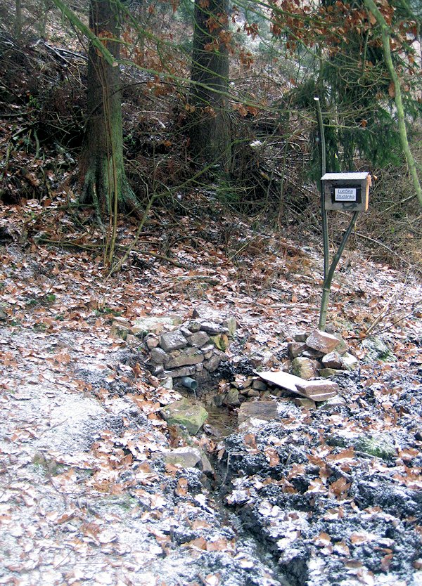 Lucčina studánka (6291)