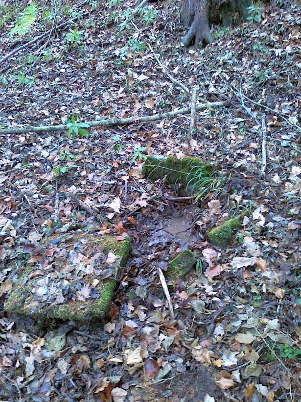 studánka V Dolním Lipovci (6293)