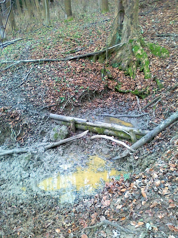studánka Pod Samkovým kopcem (6295)