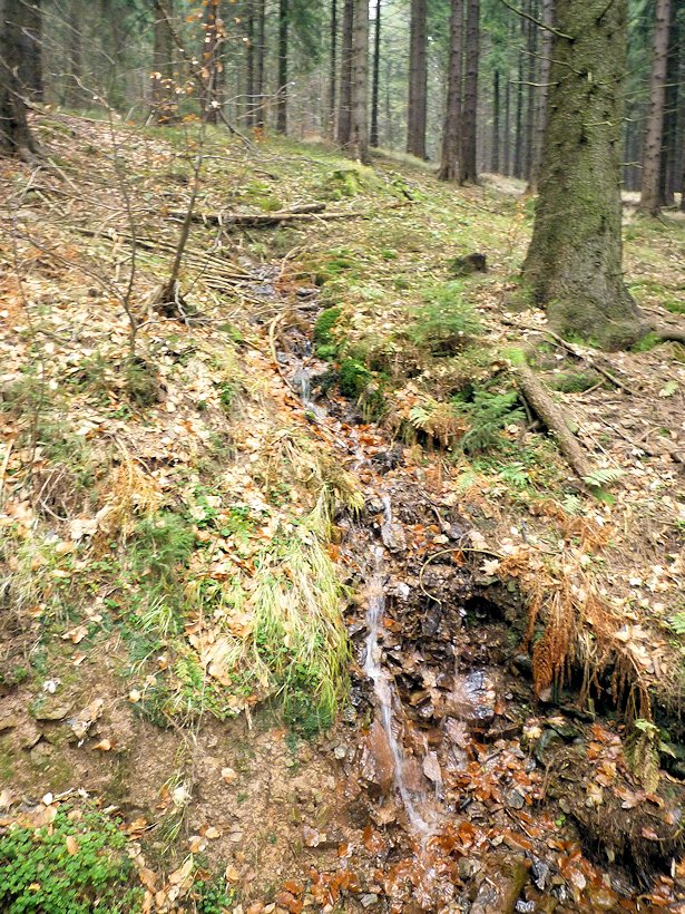 studánka U Zámečku (6303)