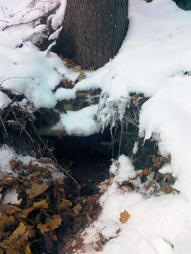 studánka Pod Jelenicí (6305)