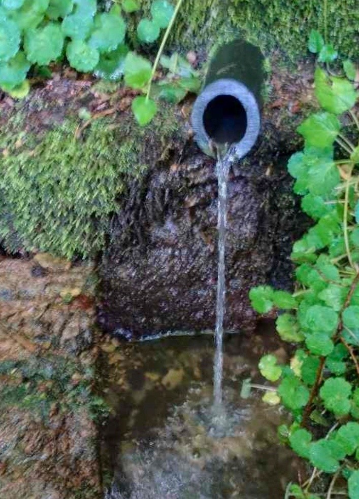 studánka Pod Hradištěm (6306)