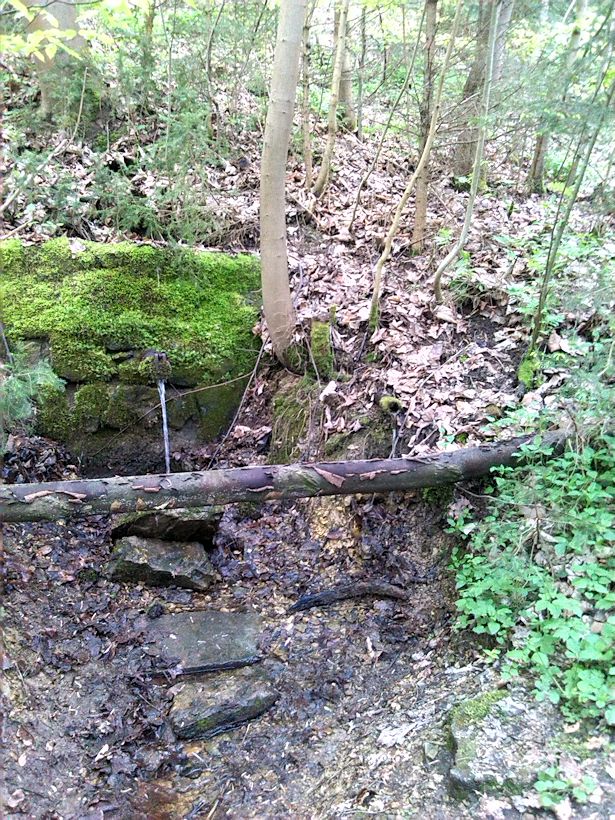 studánka Nad Habeší (6307)