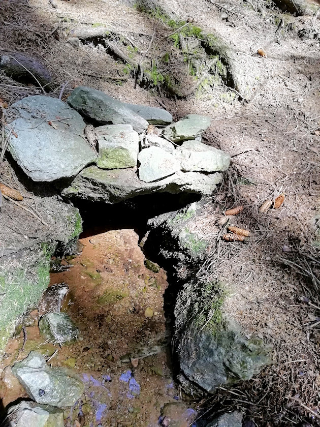 Černá studánka (6310)
