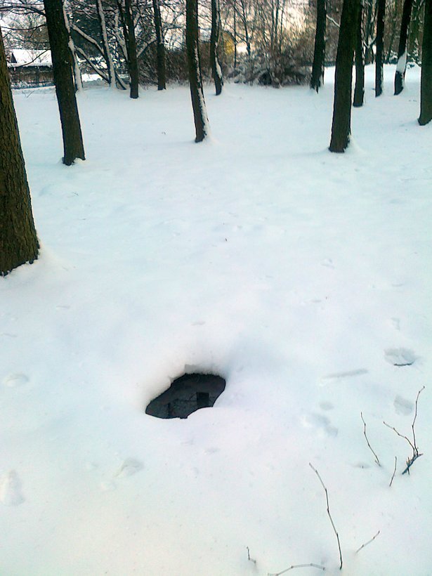studánka Nad Javoreckým rybníčkem (6311)