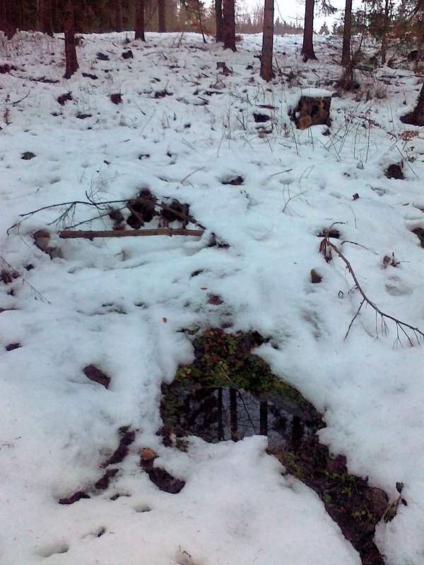 studánka Na Kohoutě (6322)
