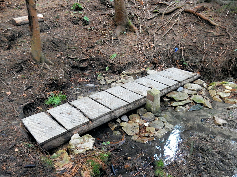 prameniště Aslanova studánka (6323)