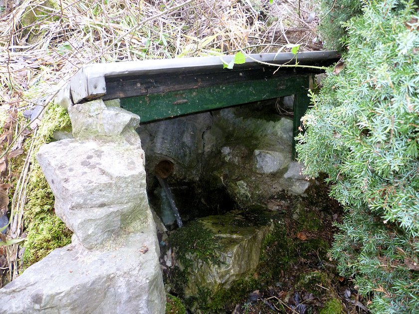 studánka bez jména (6325)