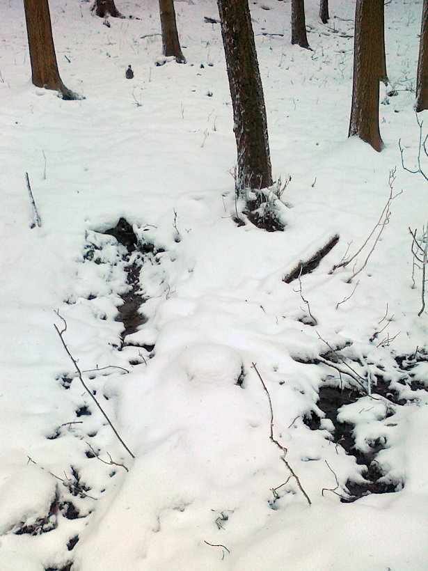 prameniště Pod Javorníkem (6327)