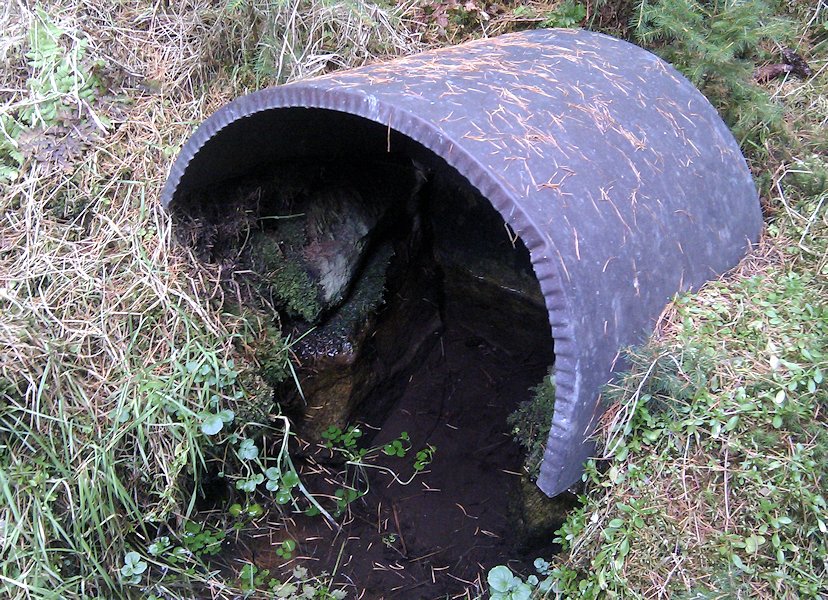 Blanická studánka 2 (6330)