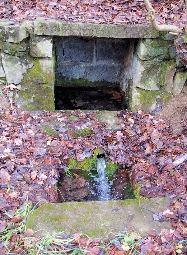 studánka U Koménky (6332)