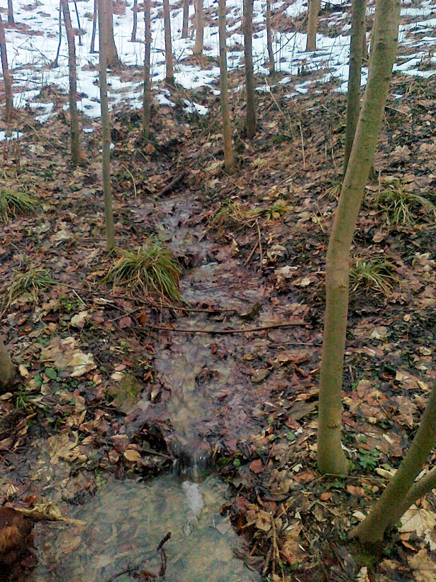 studánka Pod Údolím smrti (6340)