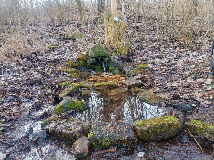 studánka Na Hýkovině (6353)