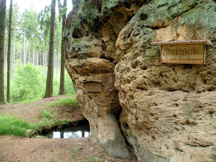 studánka Pod Posekancem (6365)