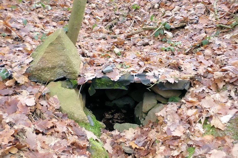 studánka V Oboře (6366)