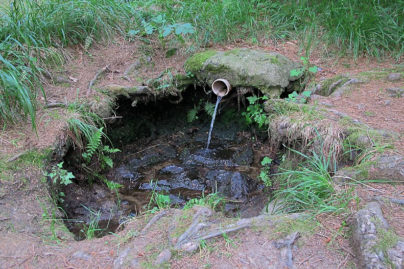 studánka bez jména (6371)