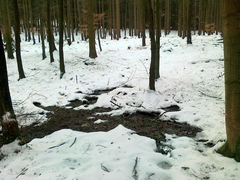 prameniště Pod Stříbrnou cestou (6373)