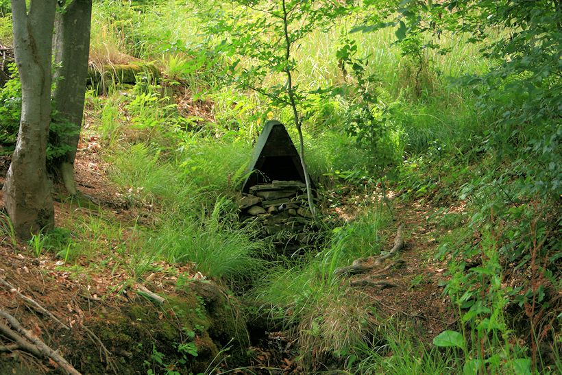 studánka V Hlubokém (6375)
