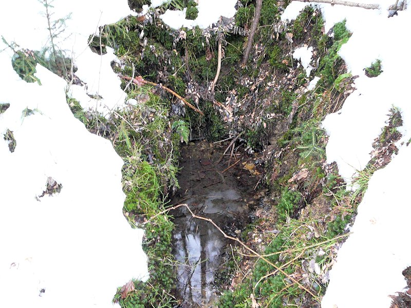 studánka Pod Zacharovcem (6376)