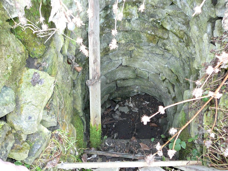 studánka U sv. Prokopa (6377)