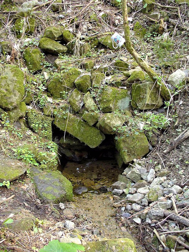 studánka U kamenného domku (6379)