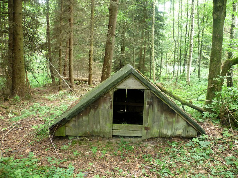 Studánka paní Staňkové (6382)