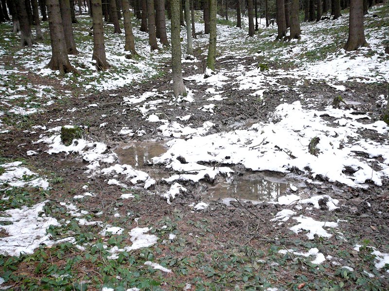 prameniště Na Zacharovci (6383)
