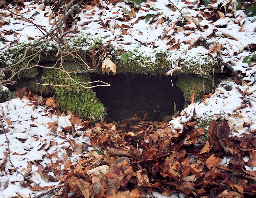 studánka U Solárky (6388)