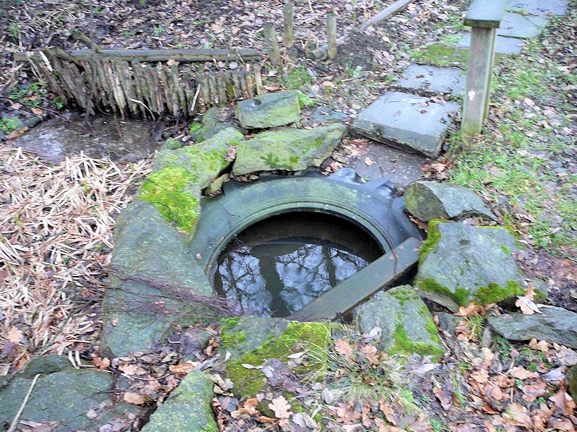 studánka U Tří mostů (6389)