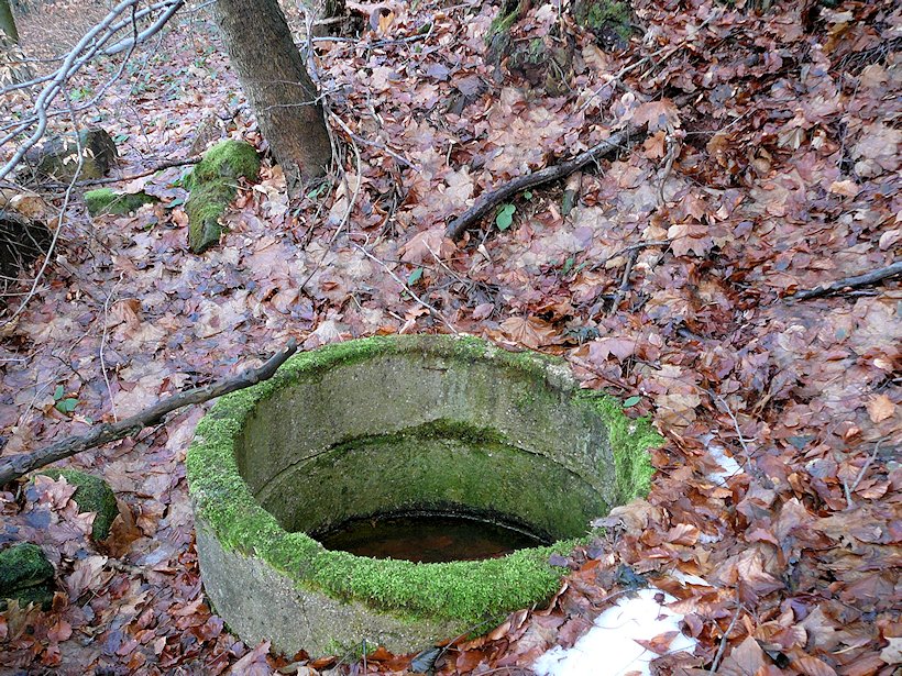 studánka Za Třebovskými stěnami (6391)