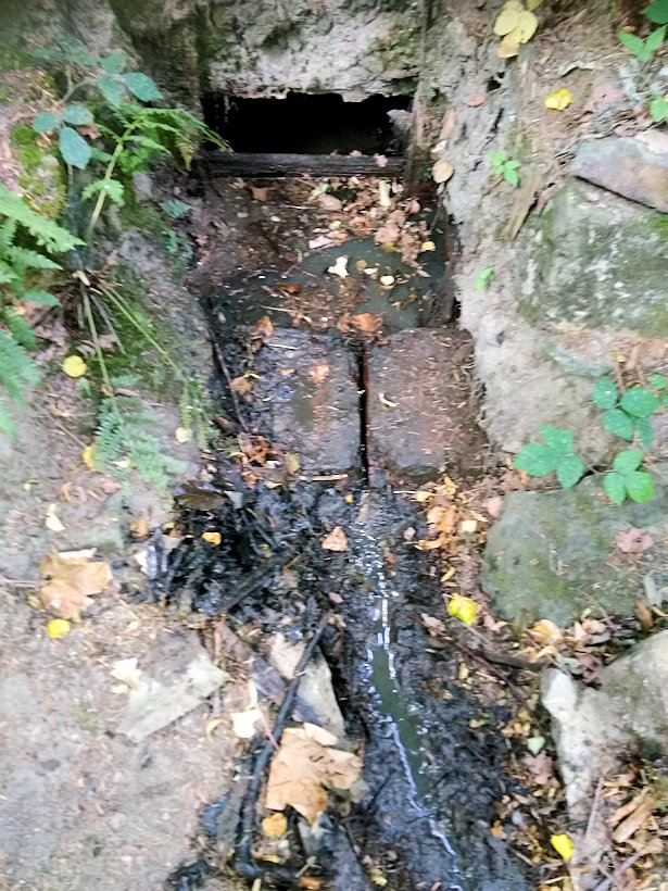 studánka Nad tábořištěm (6392)
