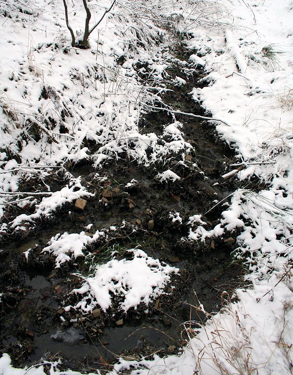 studánka Červený kámen (6394)