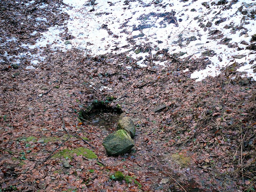 studánka Pod skalou (6395)