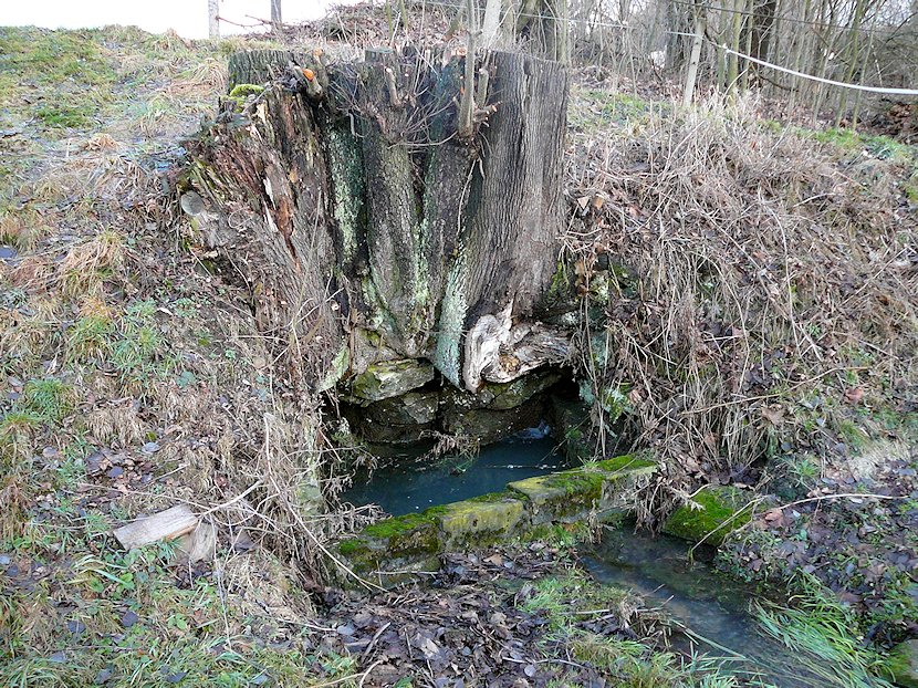 Horní studánka (6396)