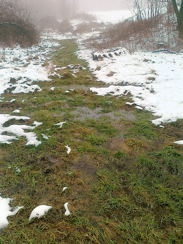 prameniště V Hliníkách (6402)