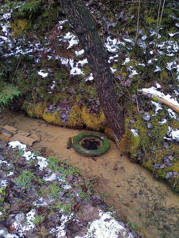studánka V Hlubočku (6406)