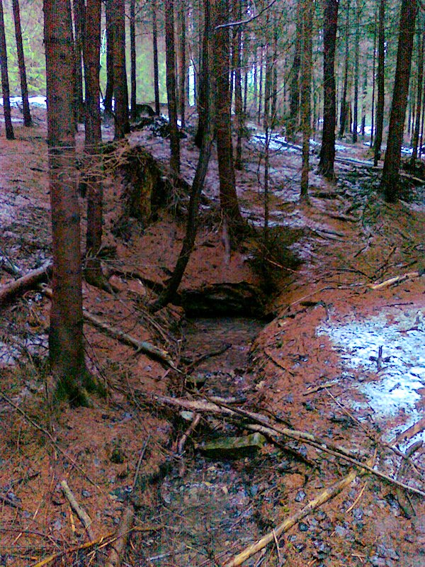 studánka V Černém lese (6407)