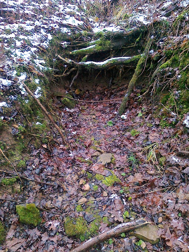 studánka Nad osadou (6408)