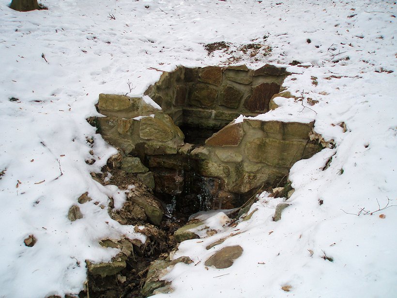 studánka bez jména (6429)
